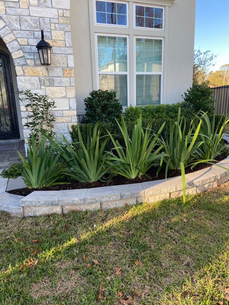 All Photos for Atlas Land Design in Creekside Park, TX