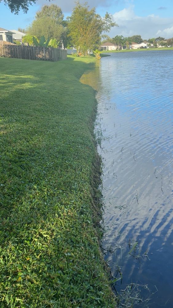 Our Lawn and Garden Care service offers comprehensive solutions, ensuring lush lawns and vibrant gardens through expert maintenance, tailored treatments, regular mowing, fertilizing, and pest control for a beautiful outdoor space. for Space Coast Property Maintenance and Management LLC in Brevard County, FL