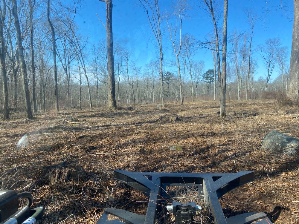 Transform your landscape with our Forestry Mulching service, efficiently clearing unwanted vegetation and underbrush while preserving the health of your soil. Perfect for property enhancements or preparing land for new projects. for DArcy  Cleveland & Sons Excavation LLC in Pawcatuck, CT