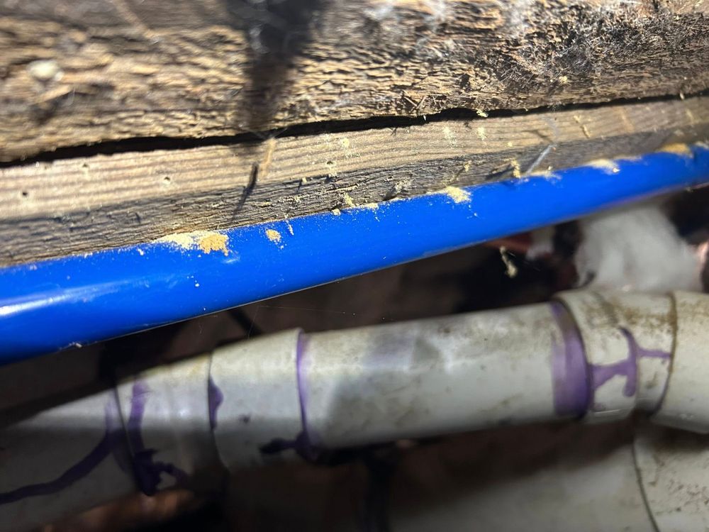 All Photos for Winecoff Pest Control in Salisbury, NC