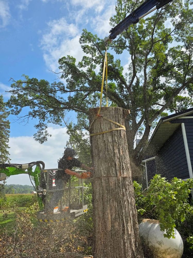 All Photos for Down To Earth Tree Service in Red Wing, MN