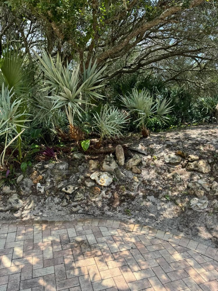 All Photos for Cunningham's Lawn & Landscaping LLC in Daytona Beach, Florida