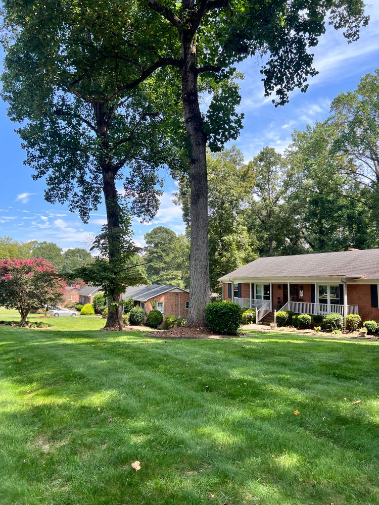 All Photos for Massey Landscaping in Gastonia, NC