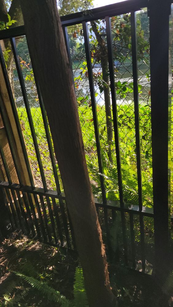 All Photos for Millenium Construction & Property Management in Tampa, FL