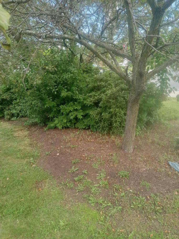 All Photos for K Brown's Property Maintenance in Pittsfield, MA