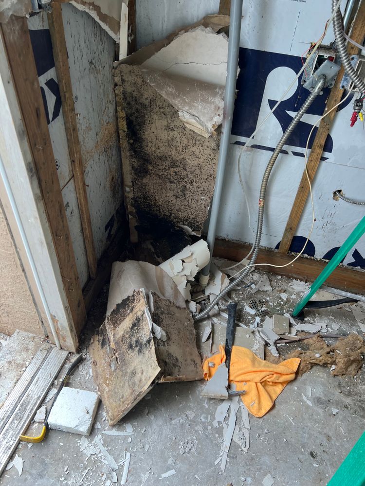 Mold Remediation for N&D Restoration Services When Disaster Attacks, We Come In in Cape Coral,  FL