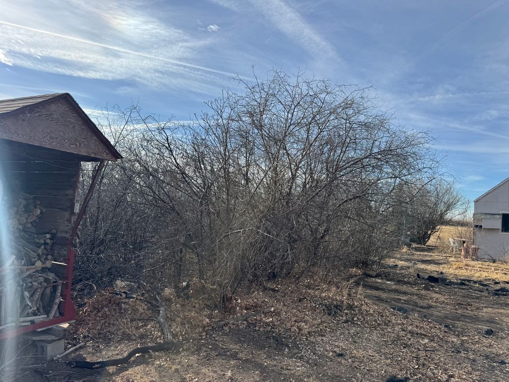 All Photos for Rock Masters Inc. in Evans, CO