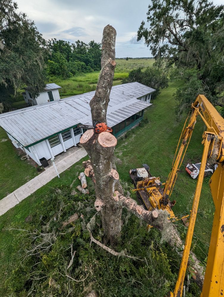 All Photos for Regal Tree Service and Stump Grinding in Wauchula, FL