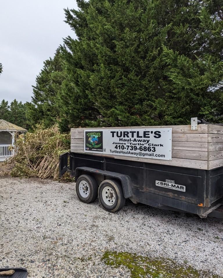 All Photos for Turtle's Haul-Away & Junk Removal in Stevensville, MD