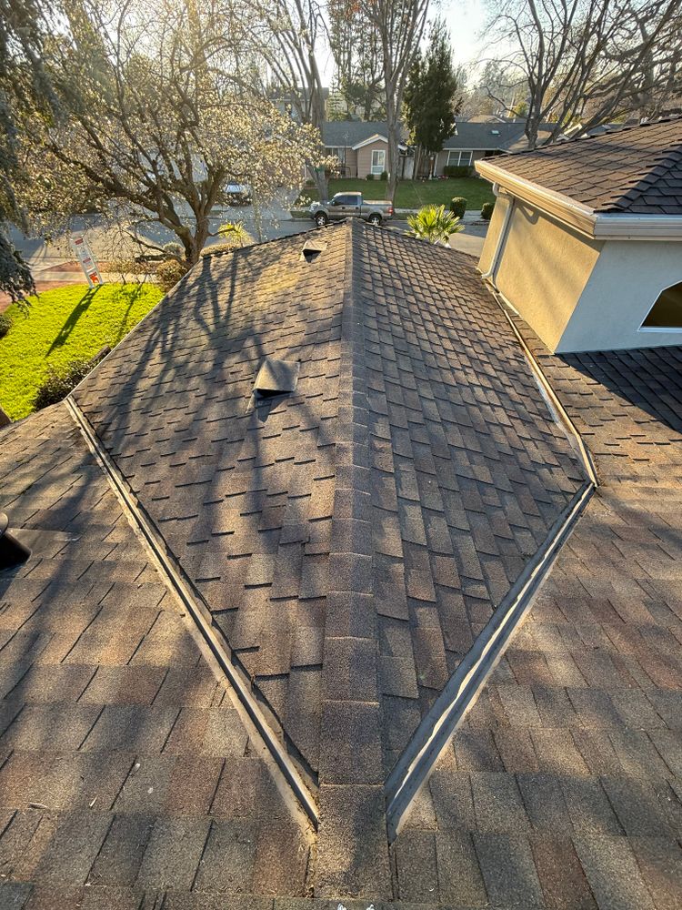 Moss Removal  for GGG Home Services in San Jose, CA