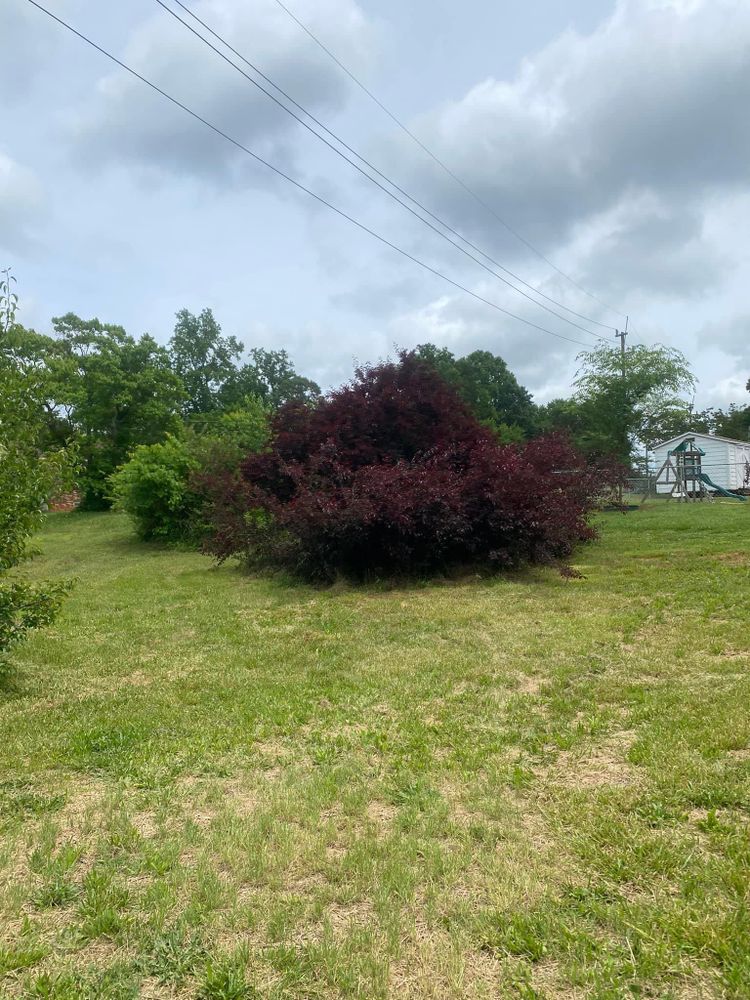 Mulching for America's Top Pick Lawn & Landscaping in Gastonia, NC