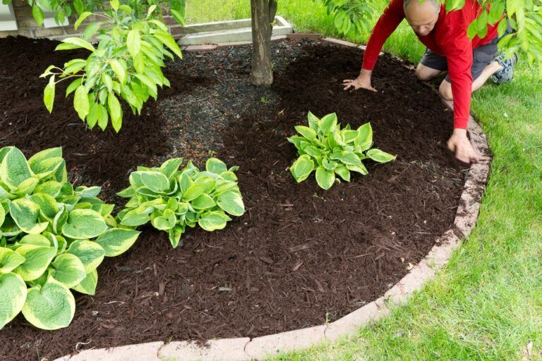 Enhance your landscape with our professional mulch installation service, providing optimal moisture retention and weed control while boosting curb appeal by giving your garden a fresh, vibrant look all year round. for J&M Stump Grinders LLC in Douglasville, GA