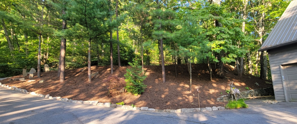 All Photos for C4 TrueVision Renovations in Asheville, NC