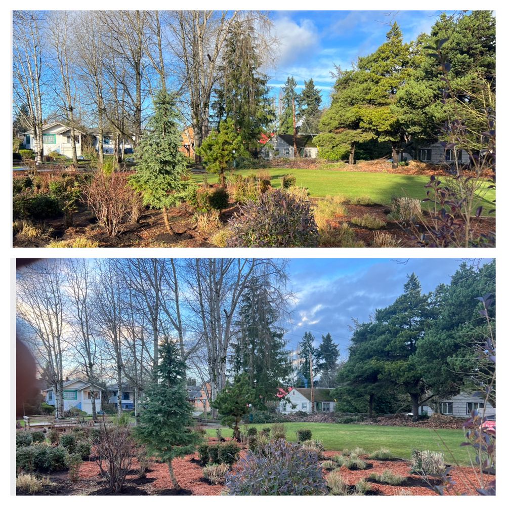 All Photos for Hall of Fame Landscaping in Bremerton, WA