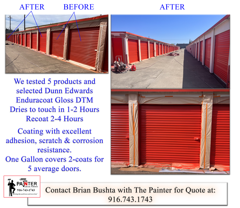 All Photos for The Painter in Citrus Heights, CA