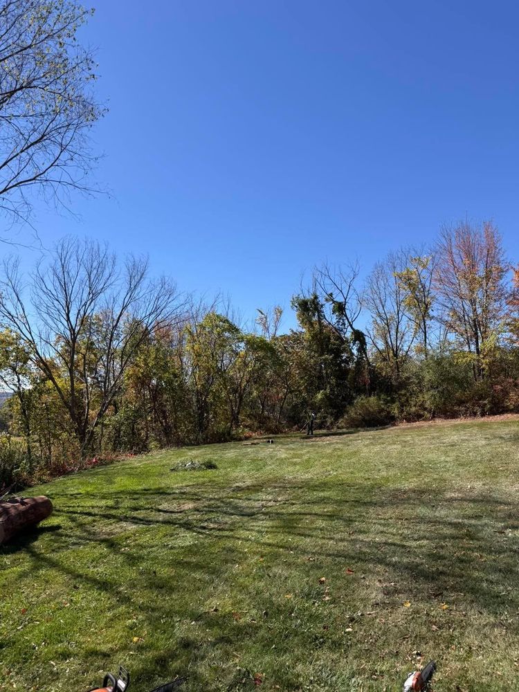 All Photos for Sterlings Tree Removal in Cobleskill, New York