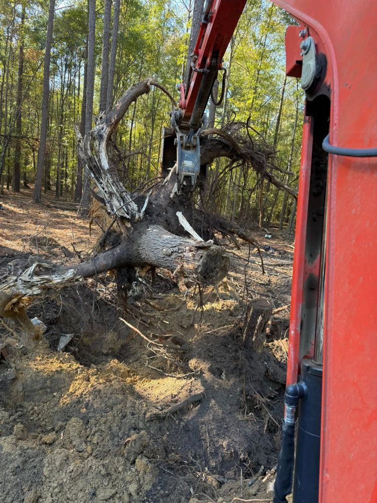 Our professional stump removal service efficiently eliminates unwanted tree stumps, enhancing your property's appearance and safety while creating a smooth foundation for future landscaping or construction projects. for Southern Pride Development in Blythewood, SC