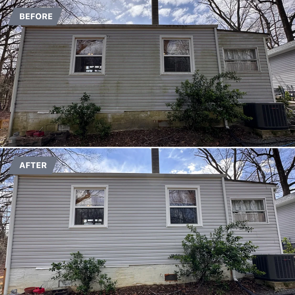 All Photos for LeafTide Solutions in Richmond, VA