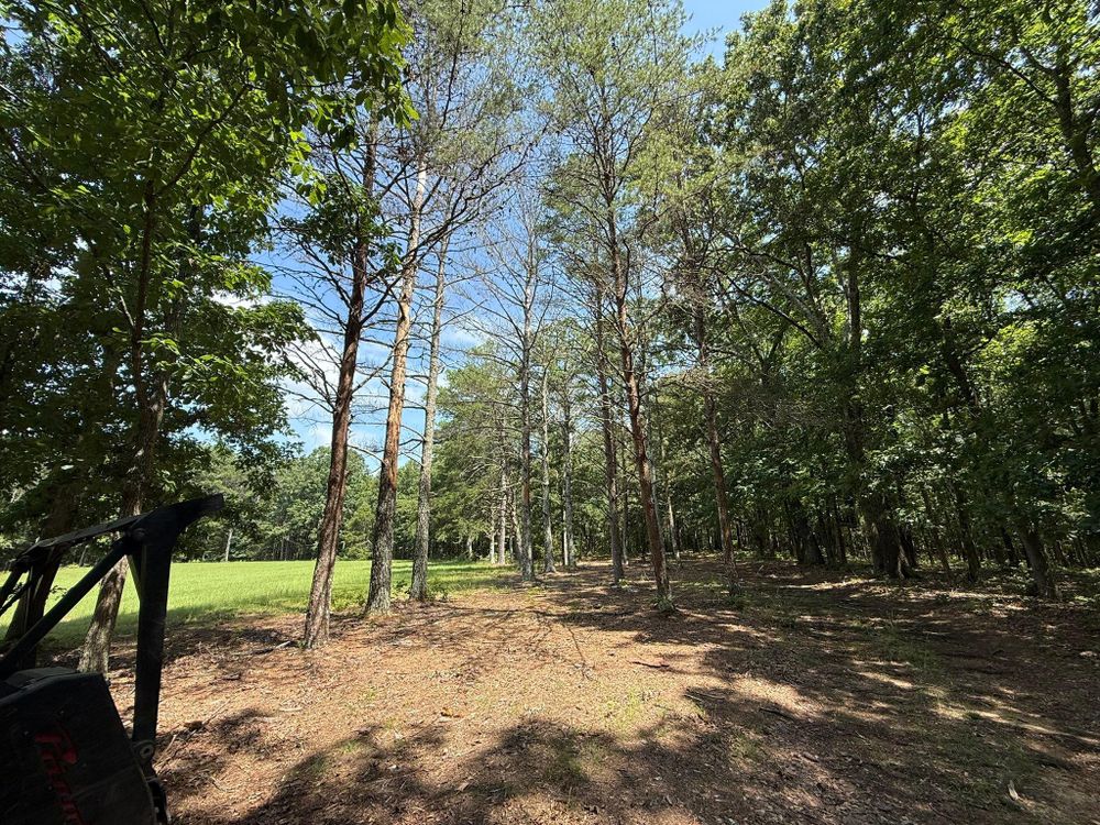All Photos for Mud Creek Vegetation Management in Russellville, AL