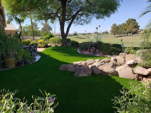 All Photos for Green landscape in Chandler, AZ