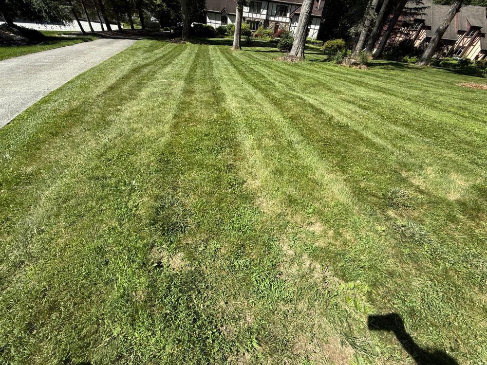 All Photos for Ardisi Property Maintenance LLC in Poughkeepsie, NY 