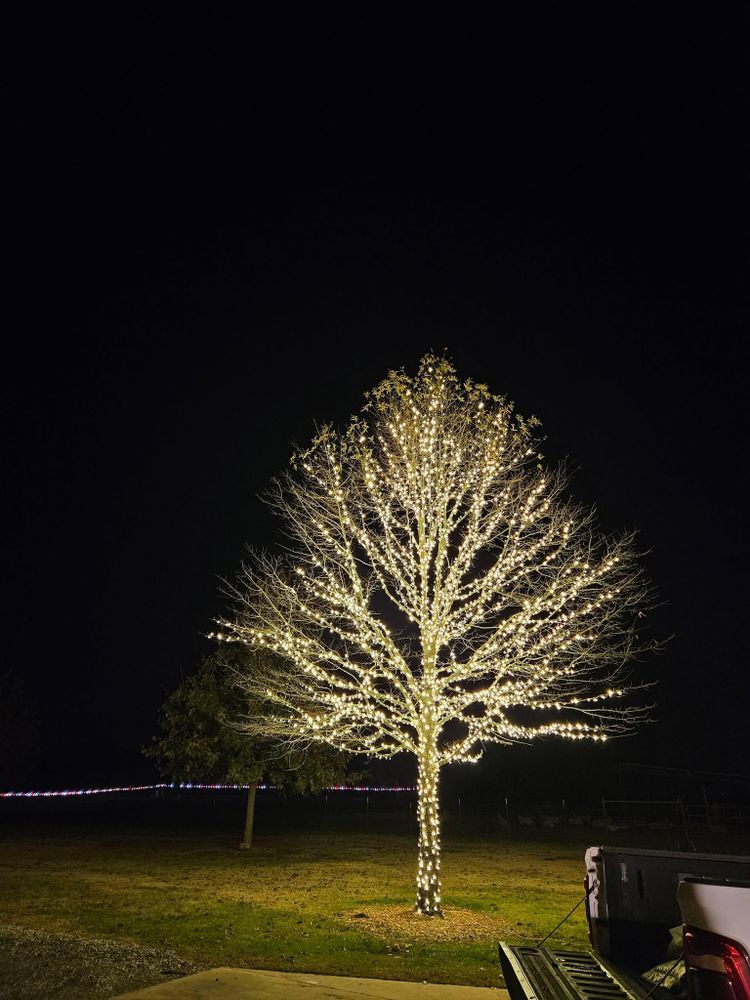 Mowing for Ornelas Lawn Service in Lone Oak, Texas