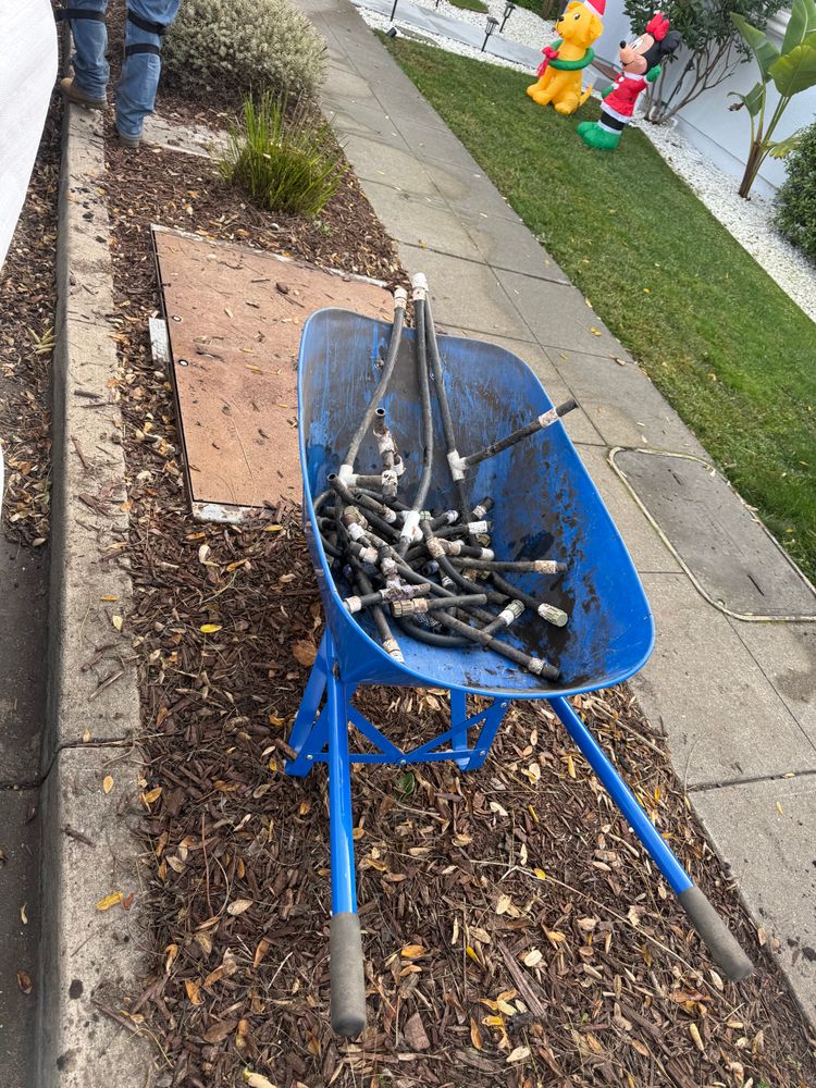 All Photos for CBA Landscaping in Hayward, CA