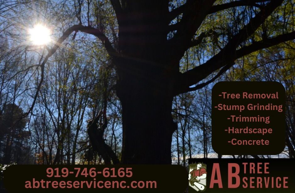 All Photos for AB Tree Service in Raleigh, NC