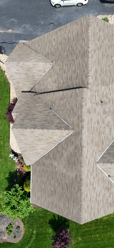 All Photos for LeafTide Solutions in Richmond, VA