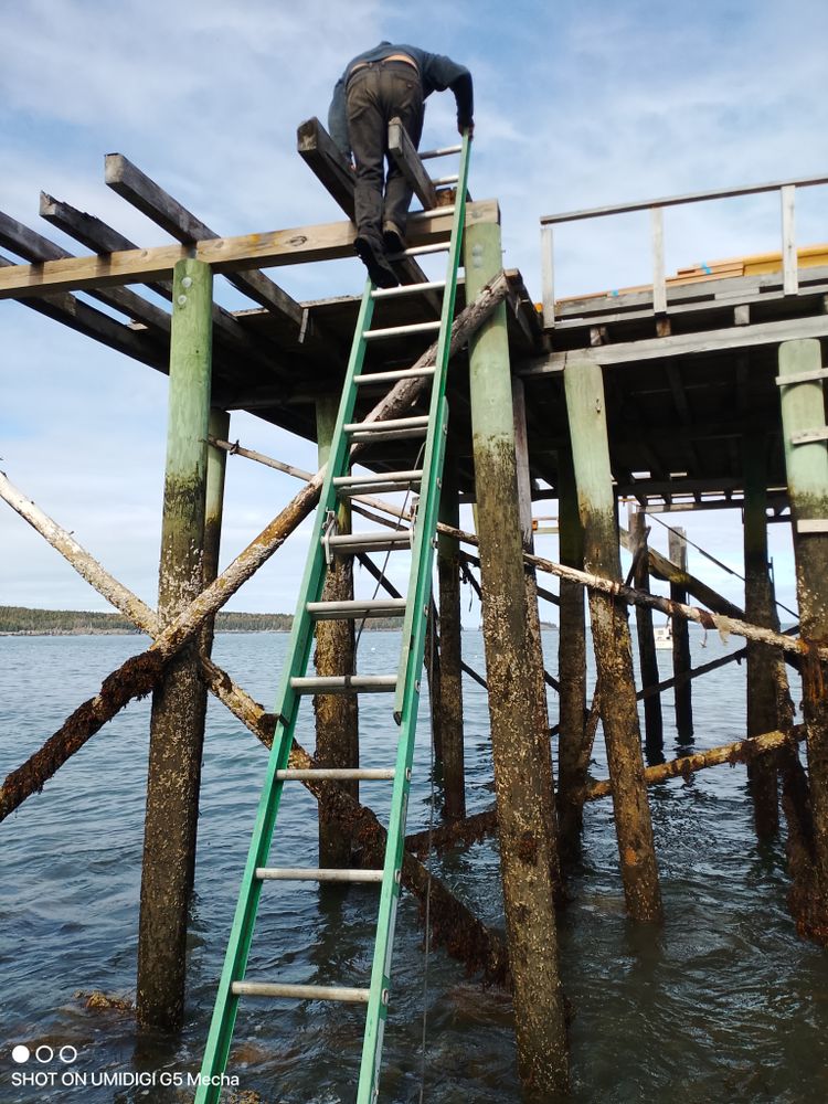 All Photos for Dresser Timber Framing in Mount Desert Island, ME