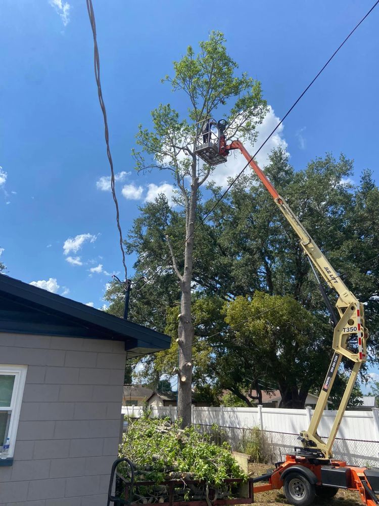 Fall and Spring Clean Up for Efficient and Reliable Tree Service in Lake Wales, FL