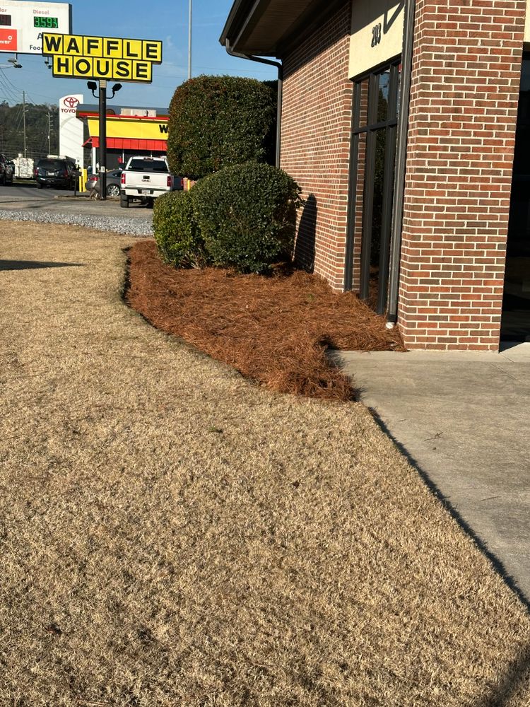 All Photos for Buddy’s Outdoor Solutions in Rome, GA