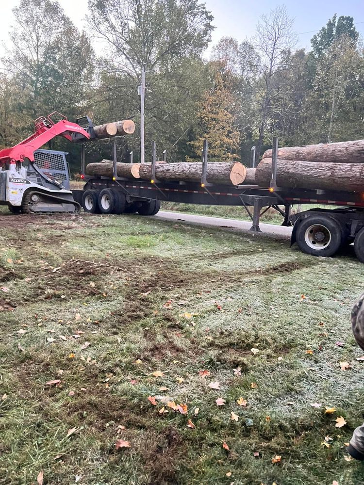 Tree Services for Kadin’s Tree Service in North Vernon, IN