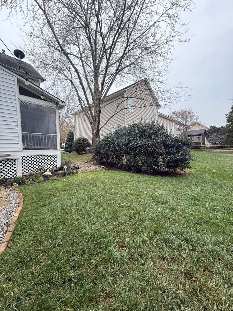 Transform your outdoor space with our expert Landscape Design & Installation services. Whether it's stunning gardens or patio enhancements, we also offer Christmas lights installation near me for festive cheer. for Blue Sky Turf in Monroe, NC