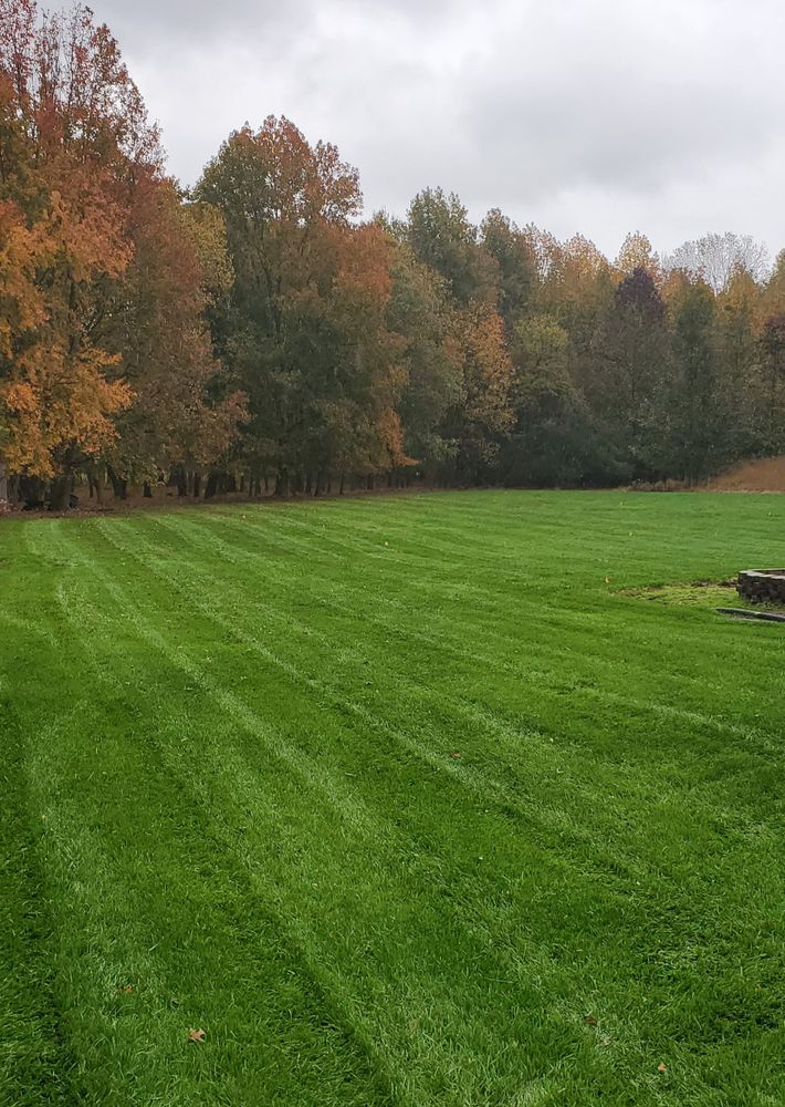 All Photos for DBs Lawn Care in Westampton Township, New Jersey