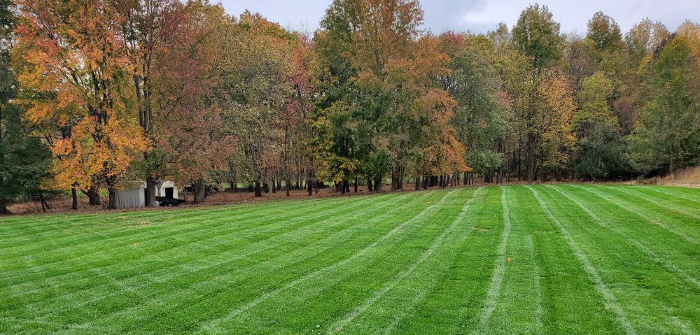 All Photos for DBs Lawn Care in Westampton Township, New Jersey