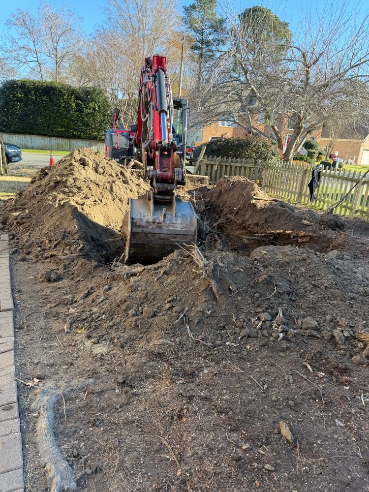 All Photos for Tidewater Tree Service in Chesapeake, VA