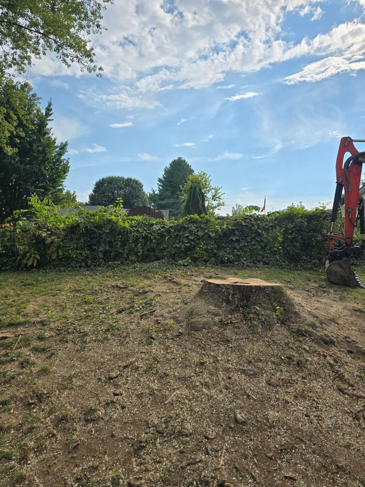 All Photos for M&L Lumber and Excavating in Jonesborough, TN