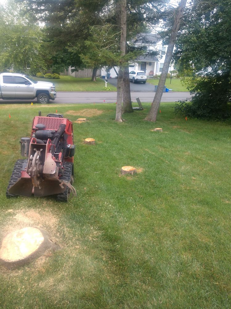 Stump Removal for TH Property Service, LLC in Manlius, NY