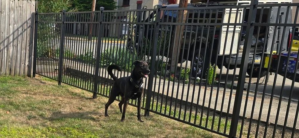 All Photos for Backyard Fence Solutions LLC in Uniontown, PA