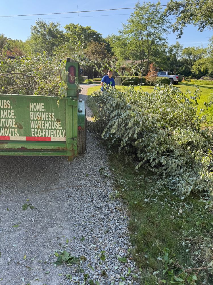 All Photos for Blue Eagle Junk Removal in Oakland County, MI