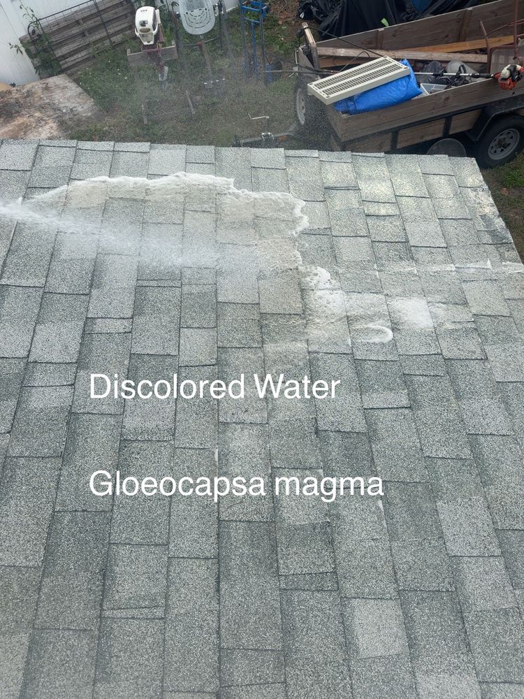 All Photos for My Soft Wash Guys in Venice, FL