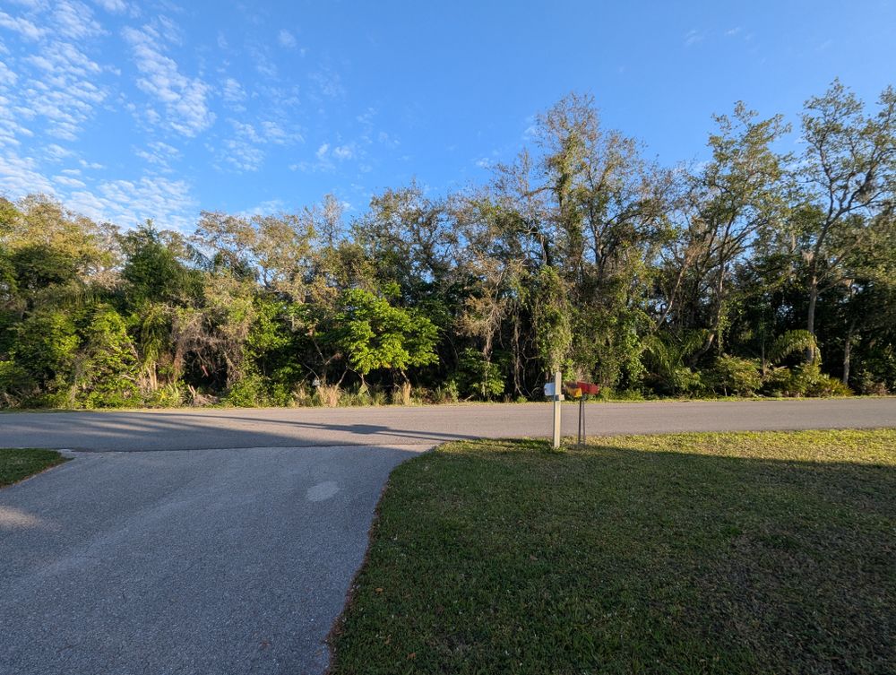 All Photos for Regal Tree Service and Stump Grinding in Wauchula, FL