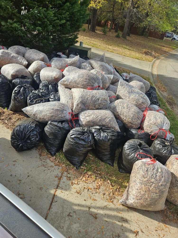 Our Foreclosure & Rental Cleanouts service efficiently removes debris and unwanted items, restoring properties to pristine condition. Trust us for a thorough cleanout, enhancing your property's appeal and readying it for the next phase. for Yard Recovery Services in Byron, GA