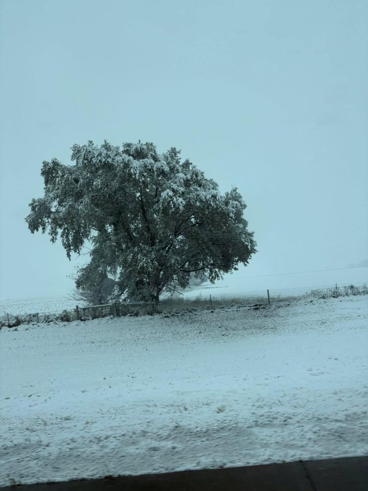 All Photos for SC Specialties in Centerville, SD