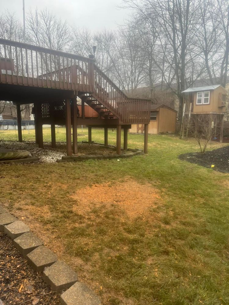 All Photos for Cincinnati’s Finest Landscape Services LLC in Cincinnati, OH