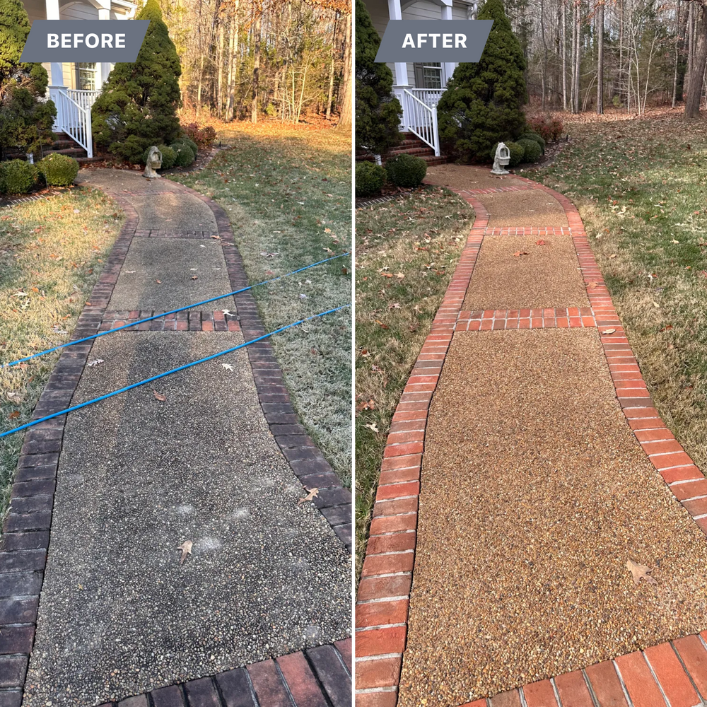 All Photos for LeafTide Solutions in Richmond, VA