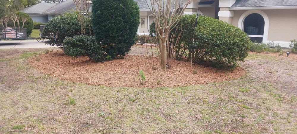 Our Shrub Trimming service ensures your landscape remains neat and healthy. Our experts carefully shape each shrub, promoting growth while maintaining aesthetic appeal, enhancing your home's overall curb appeal and garden health. for O'Donnell Tree and Handyman Services in Pine Ridge, FL