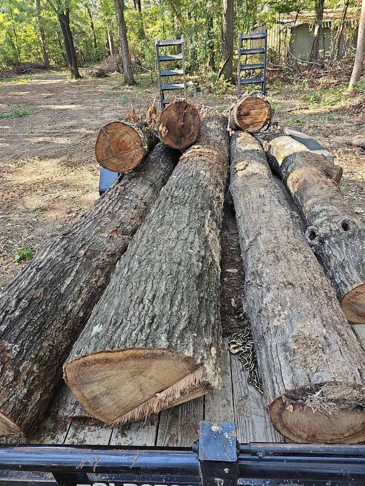 All Photos for Millers Tree Service in Saline County, AR