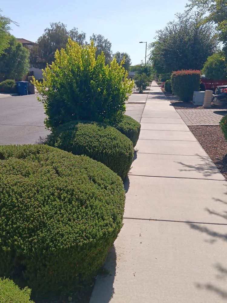 All Photos for Family Landscaping in Phoenix, AZ